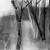 Along the Bank, charcoal drawing