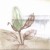 Magnolia Botanical Drawing