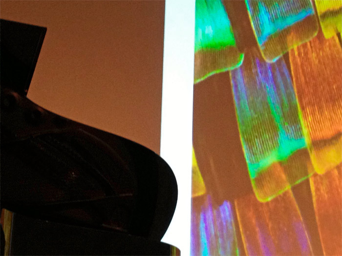 Piano And Butterfly Wings Piano And Butterfly Wings