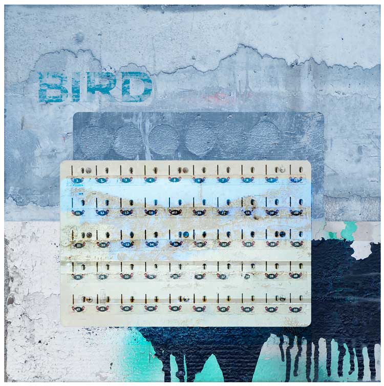 "Bird," Archival Pigment Print © Iskra Johnson "Bird," Archival Pigment Print © Iskra Johnson