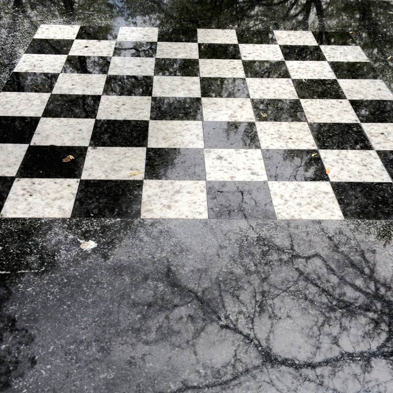 Chess-In-Washington-Square Chess-In-Washington-Square