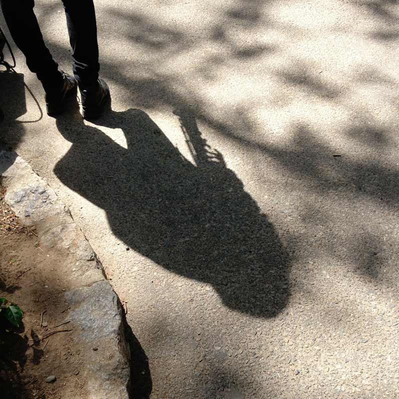The Player, musician shadow The Player