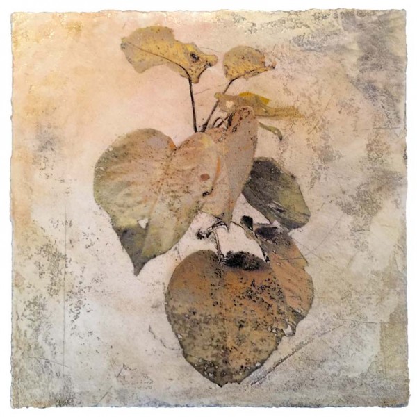 The Pear Apple Tree, Early November, mixed media on plaster © Iskra Johnson