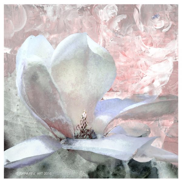 Iskra Fine Art magnolia print