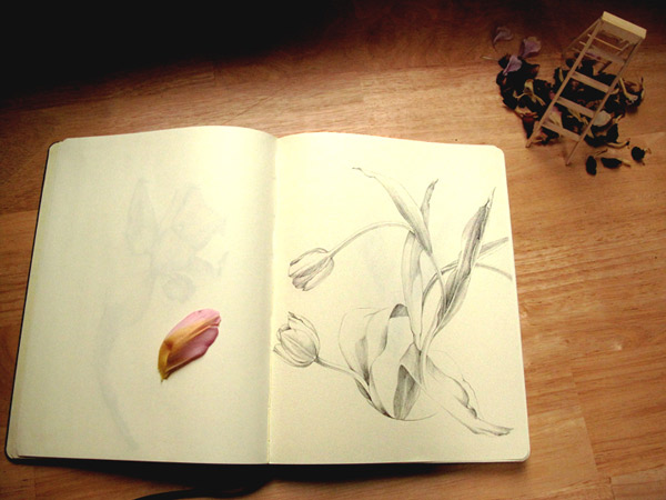 Drawing Flowers at my Kitchen Table