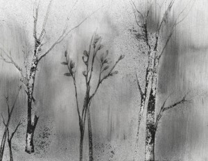 Grove, charcoal dust drawing
