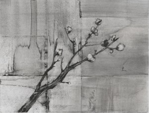 Plum Branch, charcoal drawing