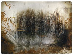 The Reeds, transfer print, Edition of 3, (SOLD)