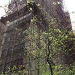 Veiled Building with Tree, New York