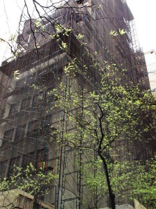 Veiled Building with Tree, New York