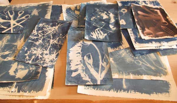 Cassandra_Cyanotypes_On_Various_Papers