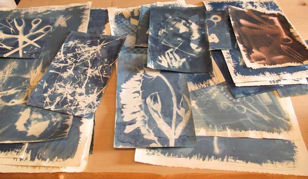 Cyanotype Sun Prints — Hooray for Rain!