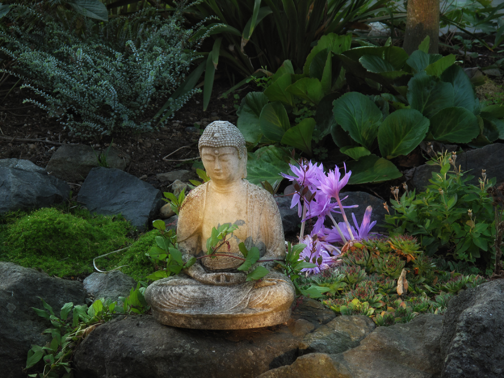 Buddha_Garden_Statue