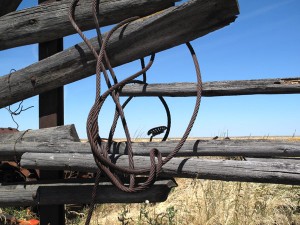 Wooden_Fence_With_Cable