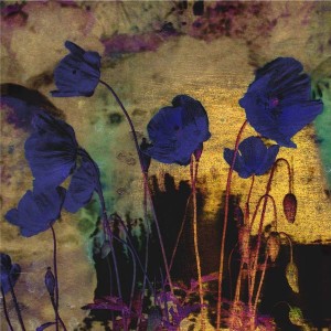 Blue Tulips For Redon, archival pigment print
