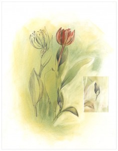 Tulips For Easter Mixed Media Drawing