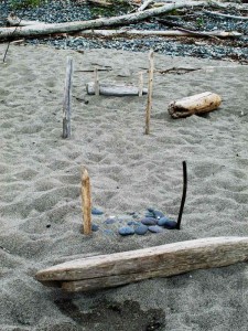 Twigs in Sand