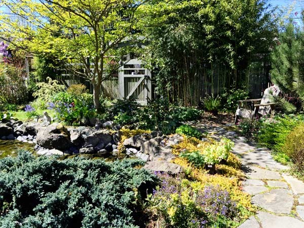 Bird_Habitat_Seattle_garden