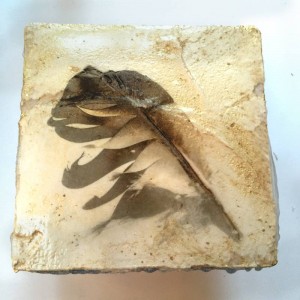 Found feather, mixed media on plaster by Iskra