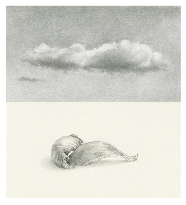 Petal and Cloud Iskra Fine art Pencil drawing
