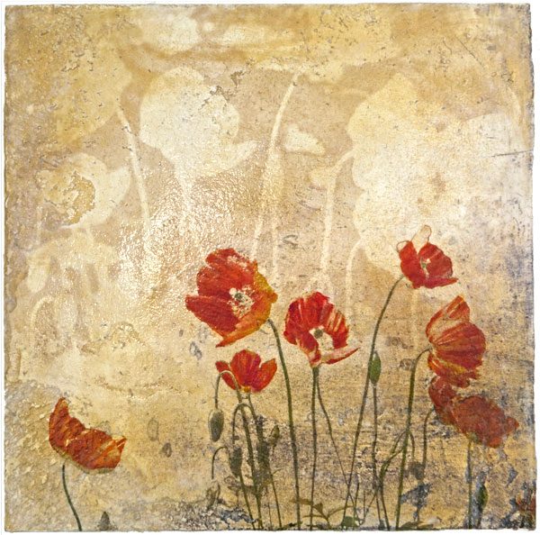 Red poppies on Venetian plaster by Iskra