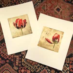 Two Tulip Prints by Iskra