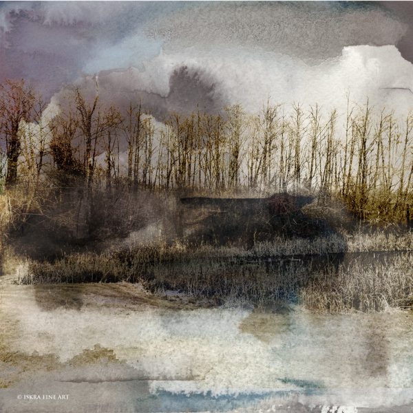 Whidbey Marsh landscape