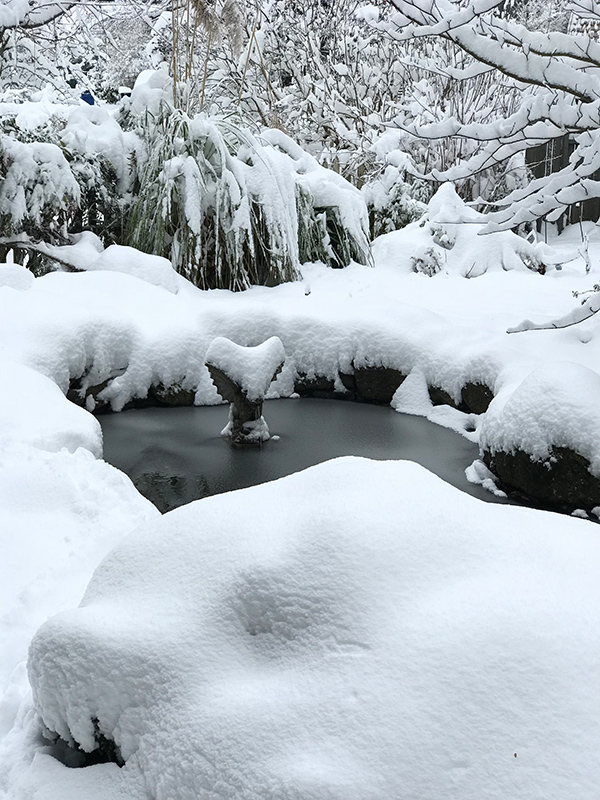 On frozen pond Iskra