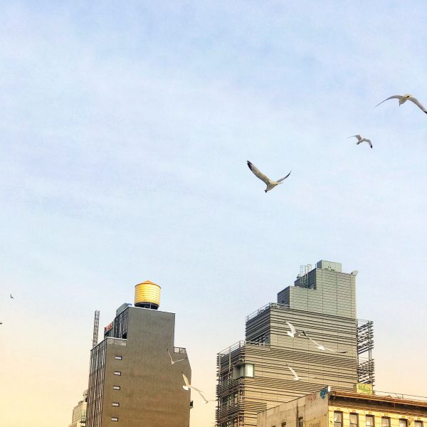 New York Water Tower