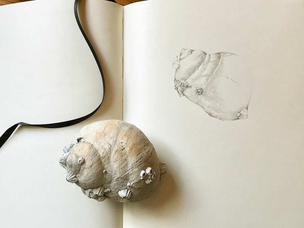 Concentration drawing of a moon shell by Iskra