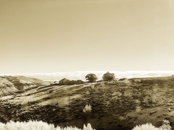 Canyon Drive Sepia Photo