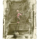 Quince Blossom in Snow Print by Iskra