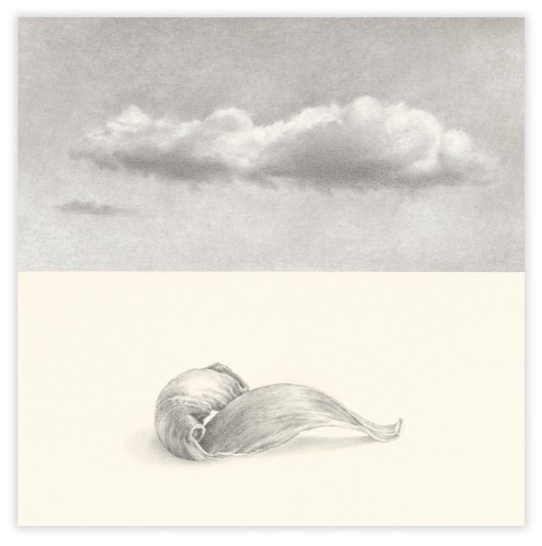 Cloud and Petal Pencil Drawing by Iskra