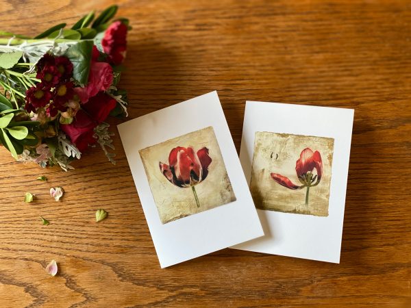 Tulips Cards By Iskra 1200