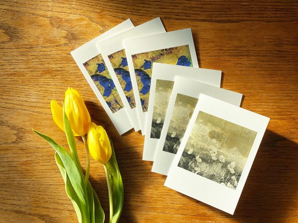 Poppies Greeting Cards in Blue and gold