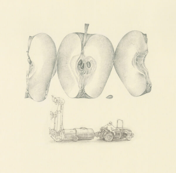 Apple industry elegy pencil drawing