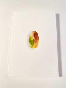 Single locust leaf watercolor