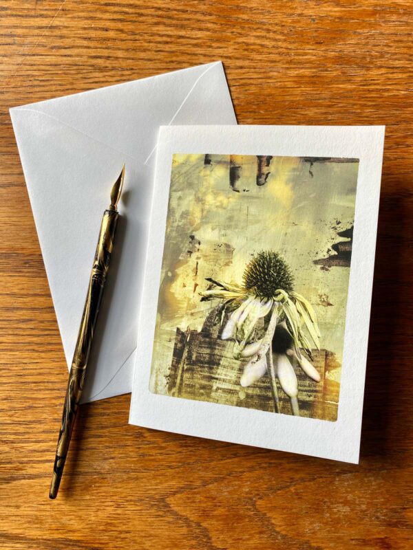 Summerlight Botanical Card 