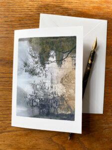 The Willows Botanical cards
