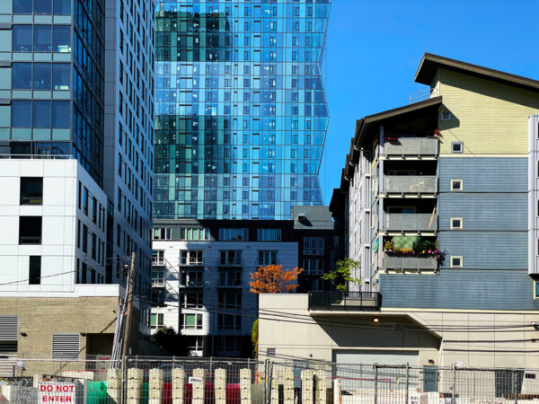 Construction site with tree and shadow Seattle