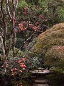 Japanese Garden in Fall photography by Iskra
