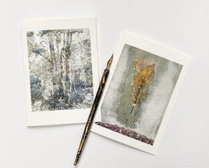 Forest and Leaf Fine Art Cards