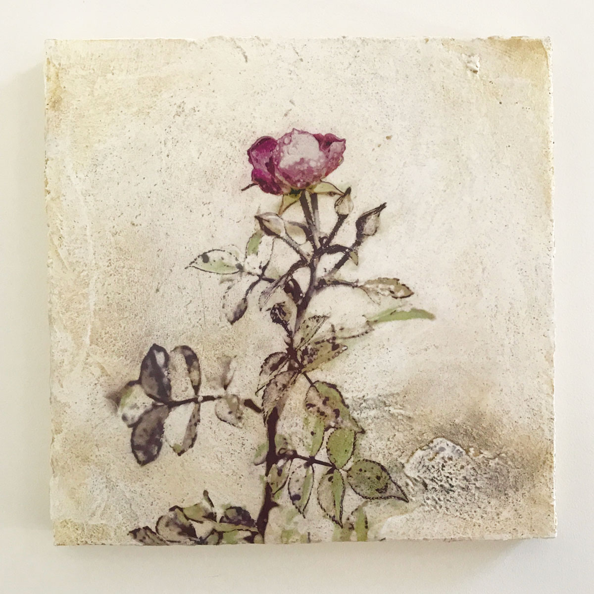 One of my botanical works on Venetian plaster. 12x12", available in my shop.