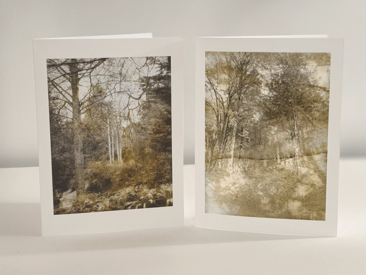 Forest Cards