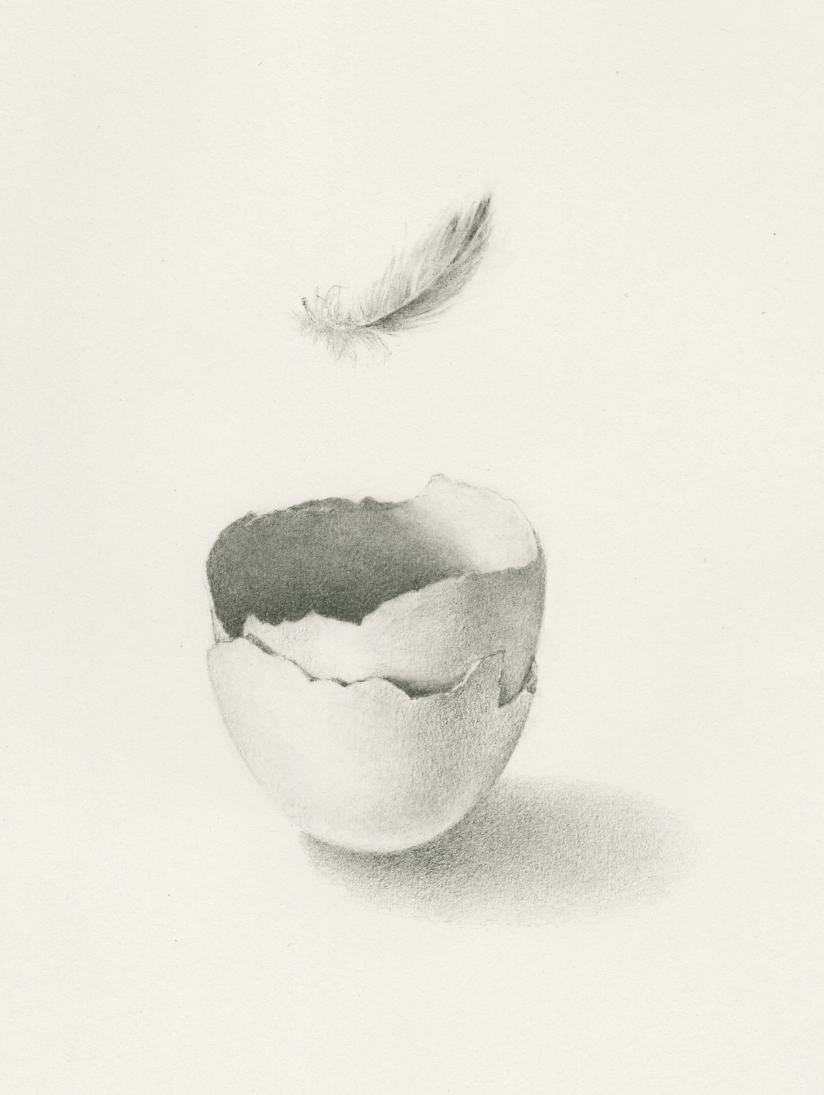 Feather and Egg, graphite drawing © Iskra Johnson 2026 (SOLD)