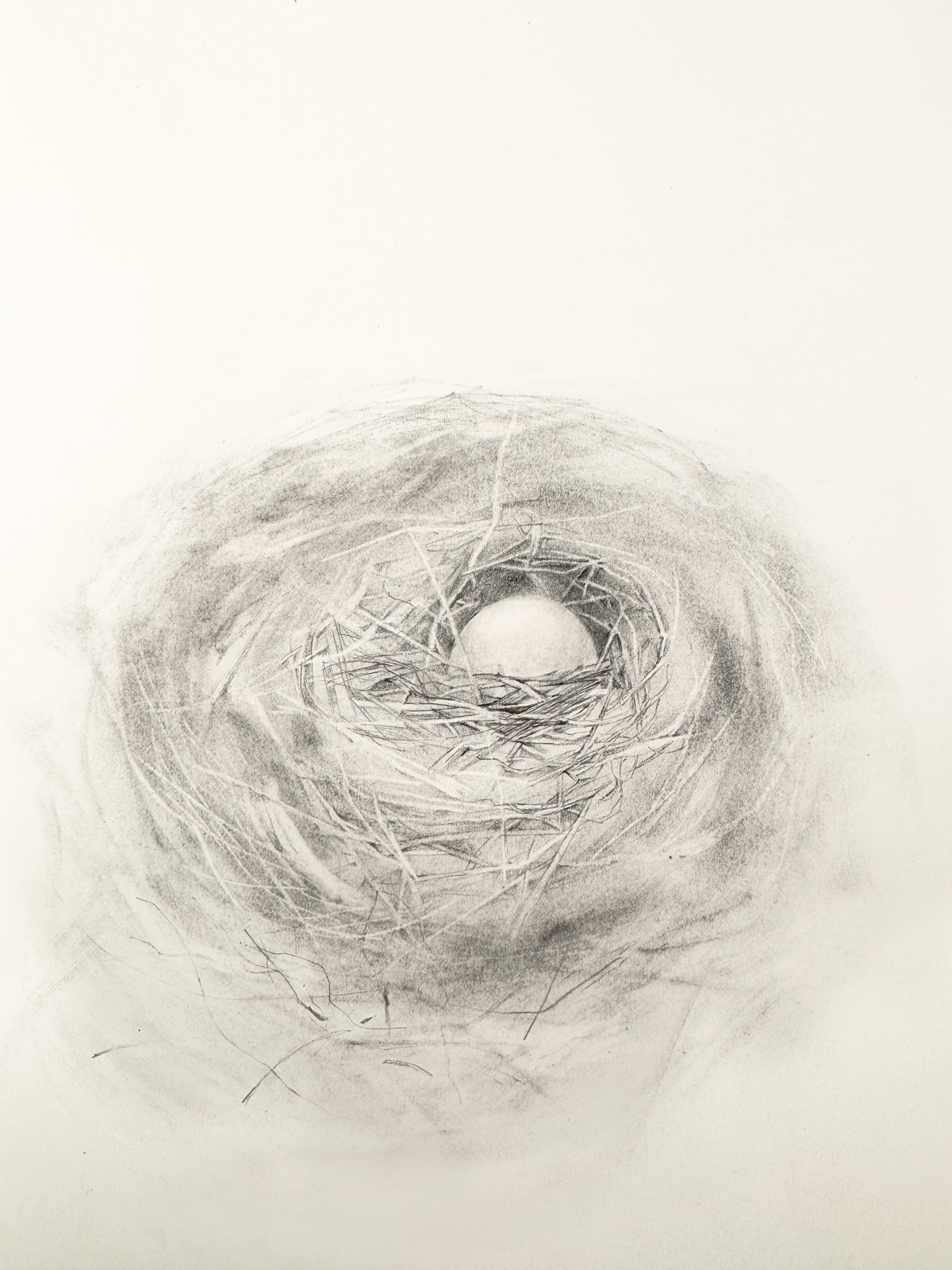 The Nest ( Fragility No.1)