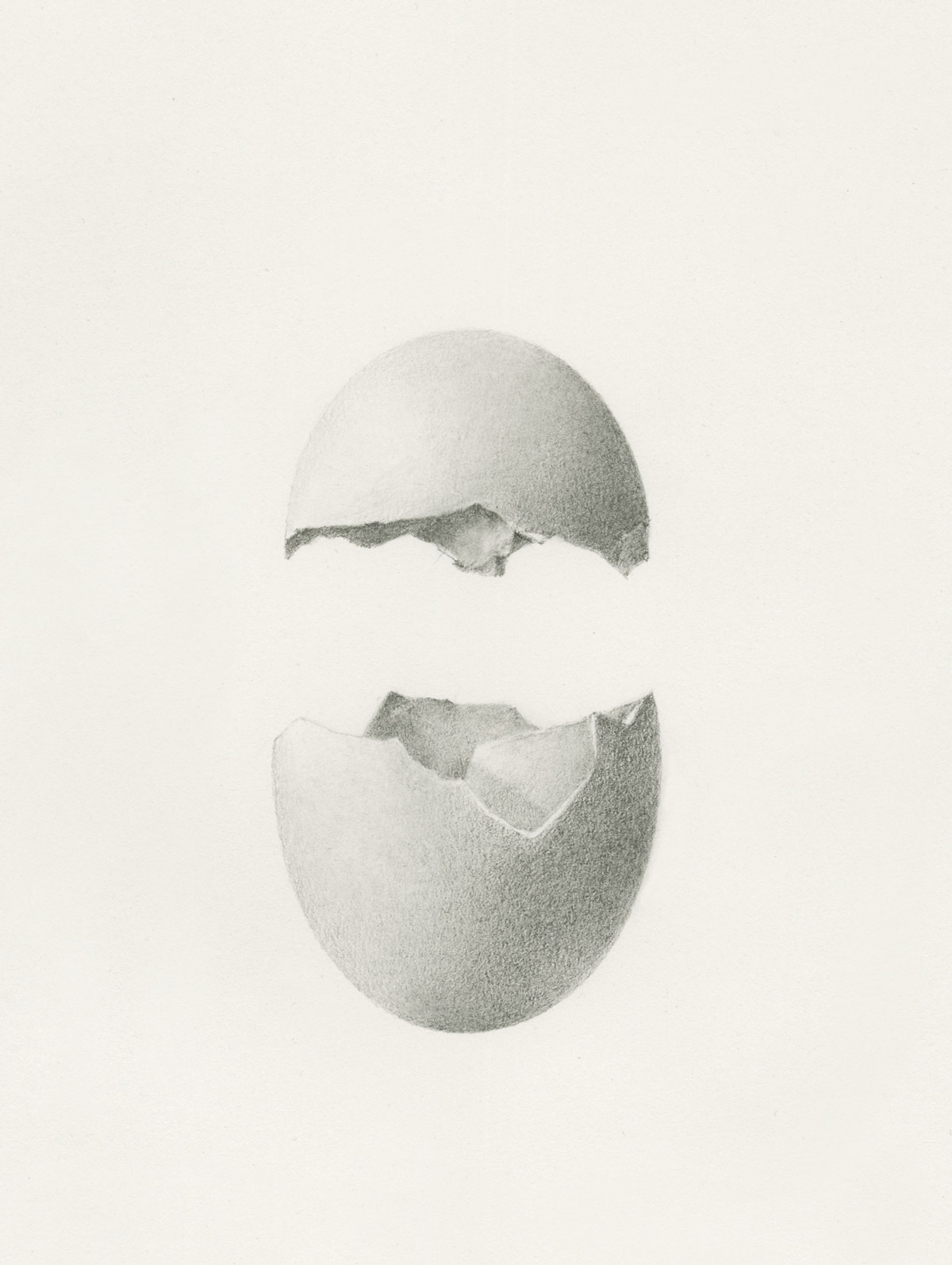 Levitation Fracture, graphite drawing of a cracked egg