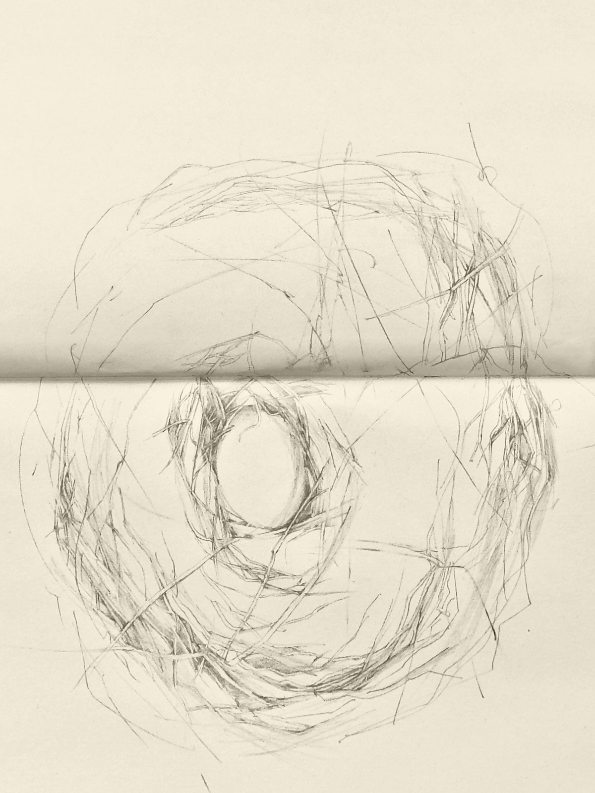 Nest on Divided Page