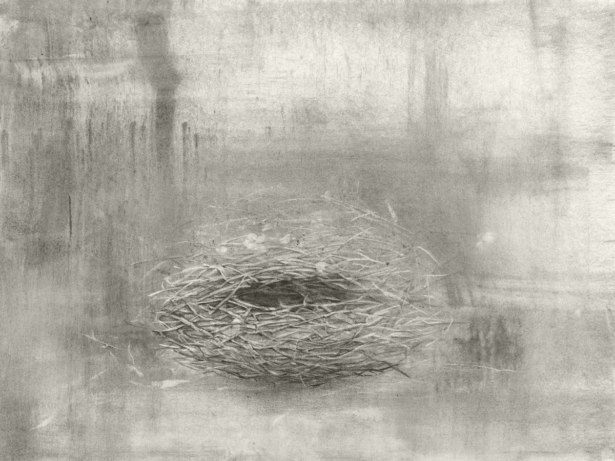 Sleeping Nest, graphite and pencil