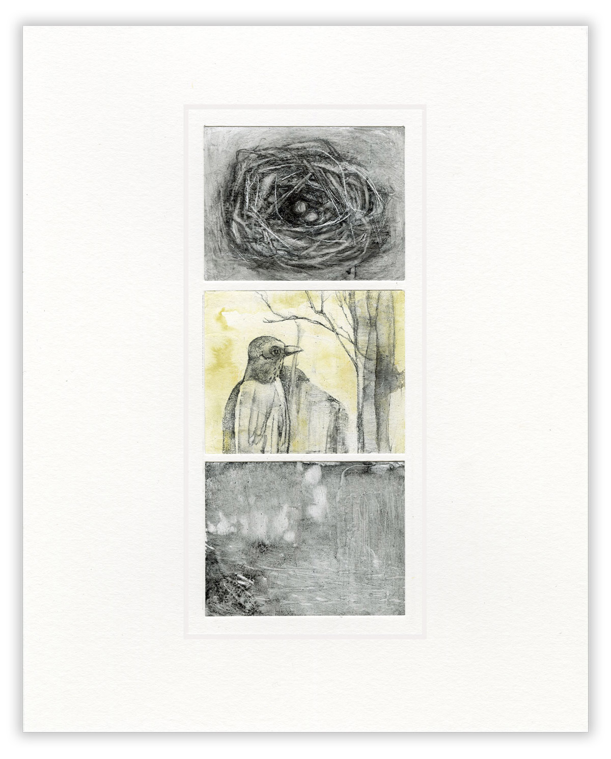 Bird and Nest mixed media drawing sequence